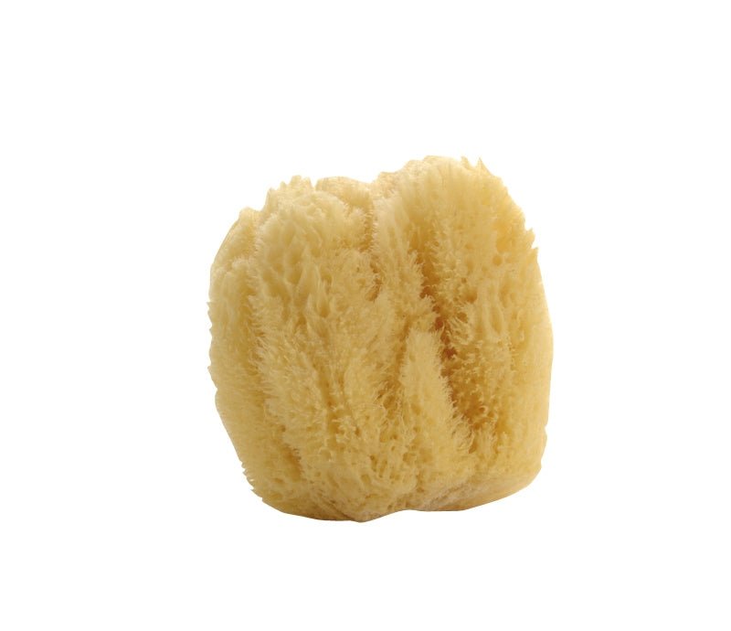 Natural Sea Sponge - Wick'ed Fragrance House