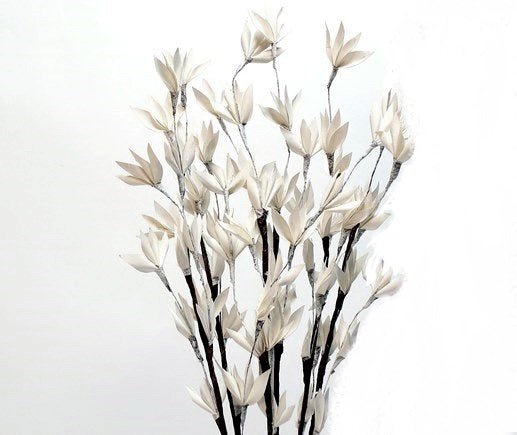 Preserved Palm Peacock - White Wash - Wick'ed Fragrance House