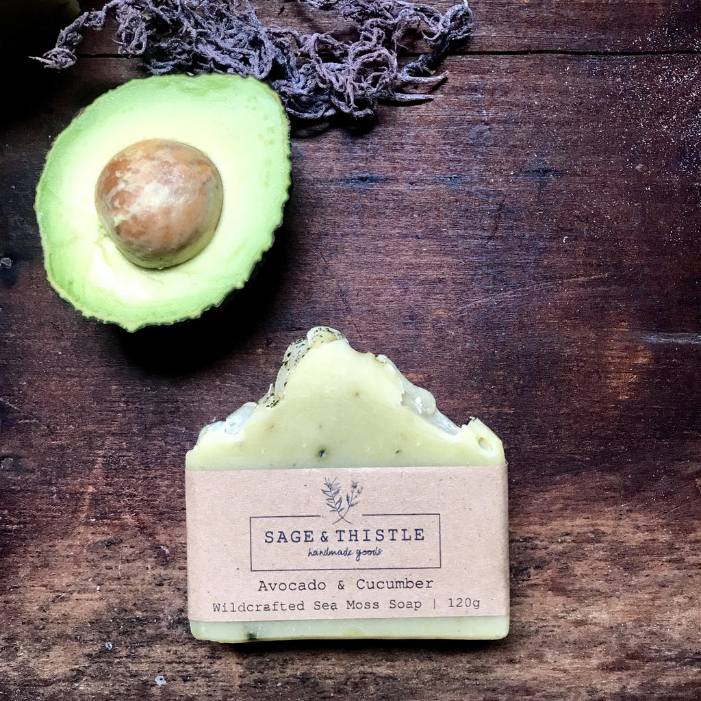 AVOCADO & CUCUMBER WILDCRAFTED SEA MOSS SOAP - Wick'ed Fragrance House