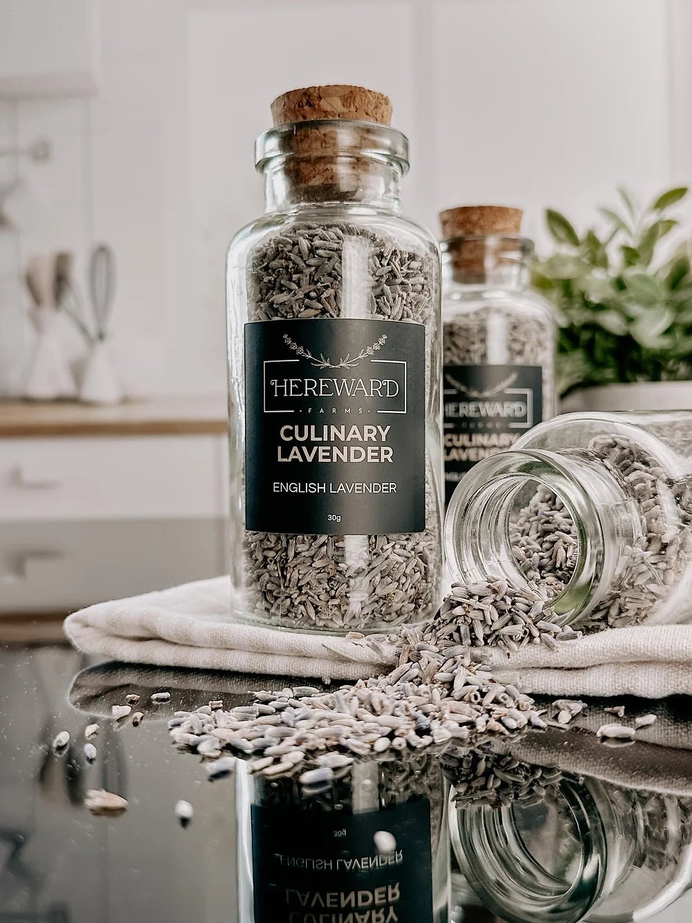 CULINARY LAVENDER IN APOTHECARY JAR - Wick'ed Fragrance House