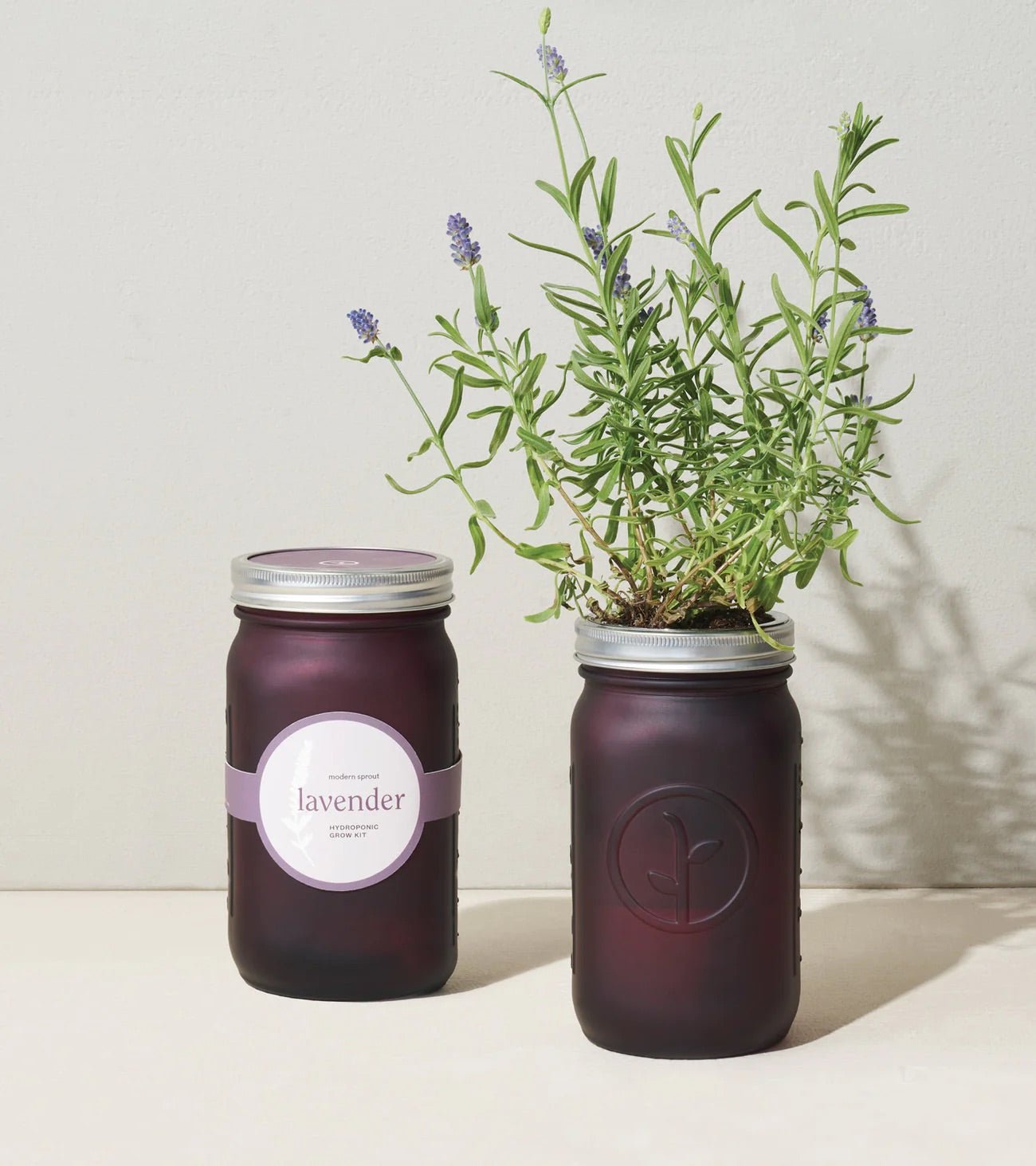 Garden Jar Herbs - Wick'ed Fragrance House
