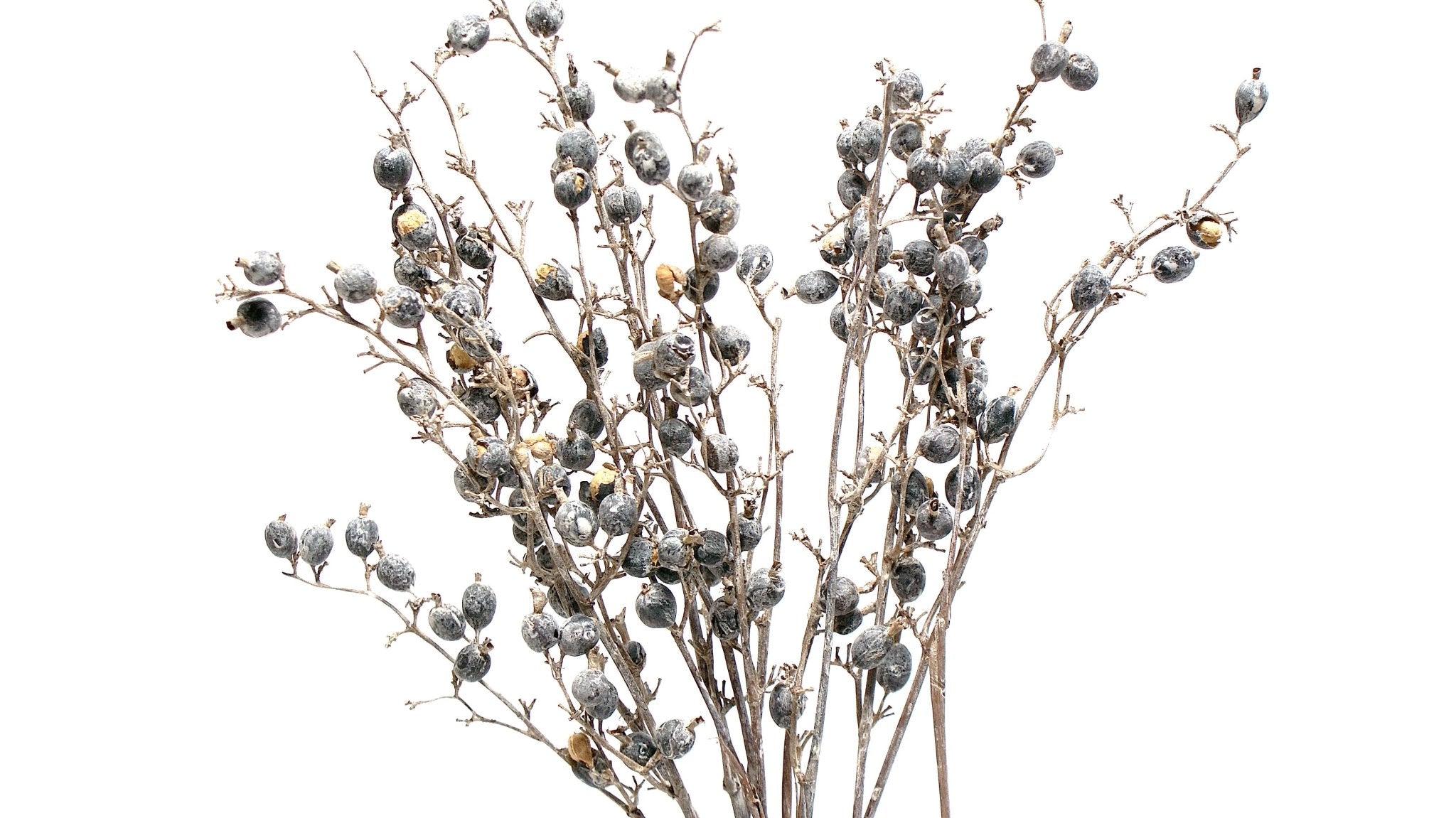 BlackBerries - Wick'ed Fragrance House