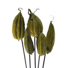 Jhinga Pods - Moss Green - Wick'ed Fragrance House