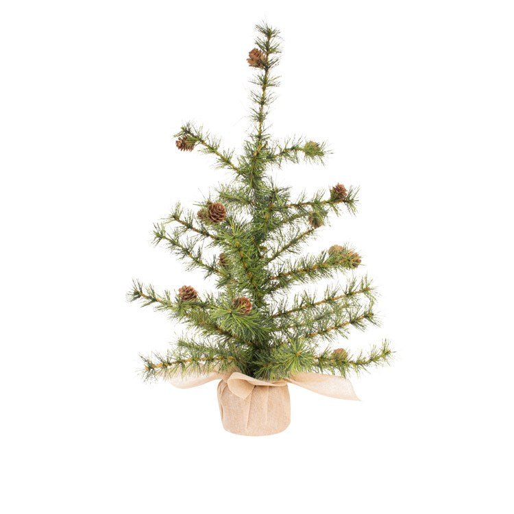 Pinecone Fir Tree - Wick'ed Fragrance House