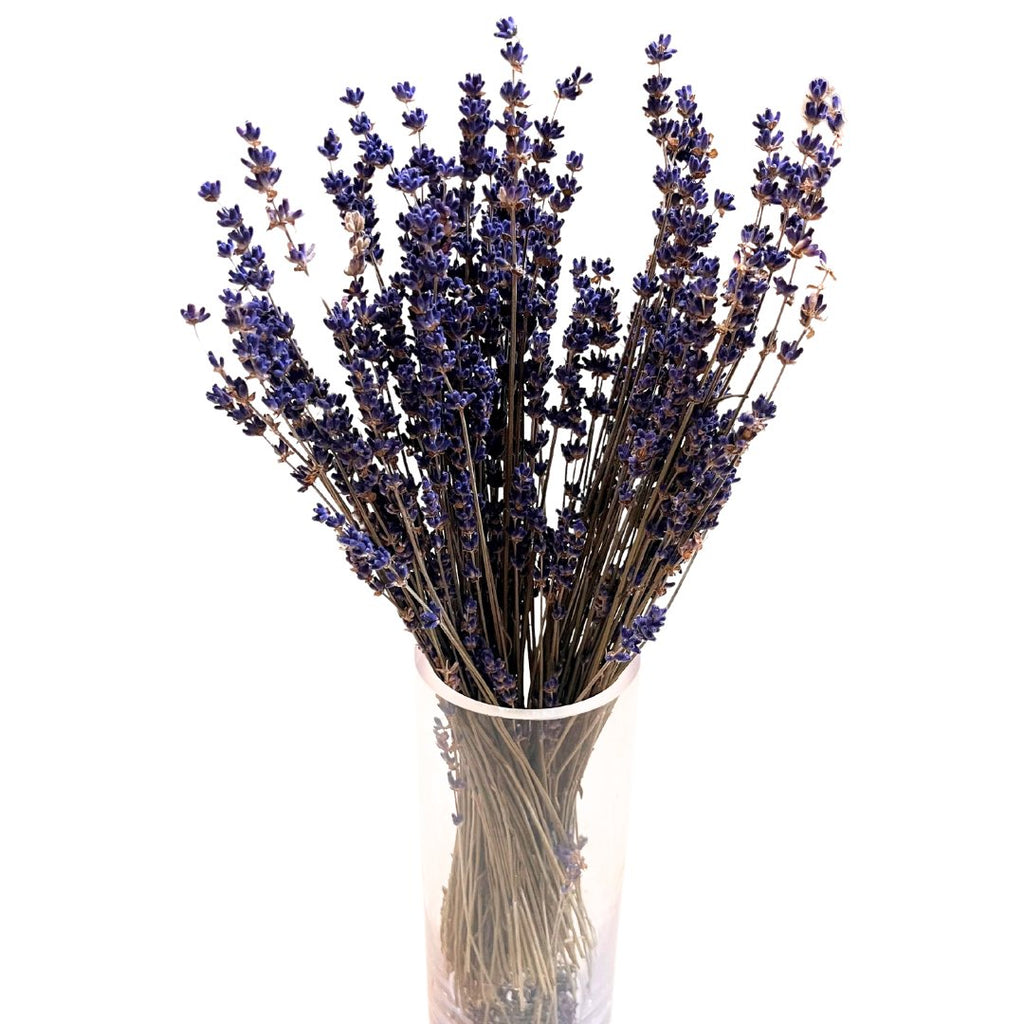 Preserved Lavender - Dark Blue - Wick'ed Fragrance House