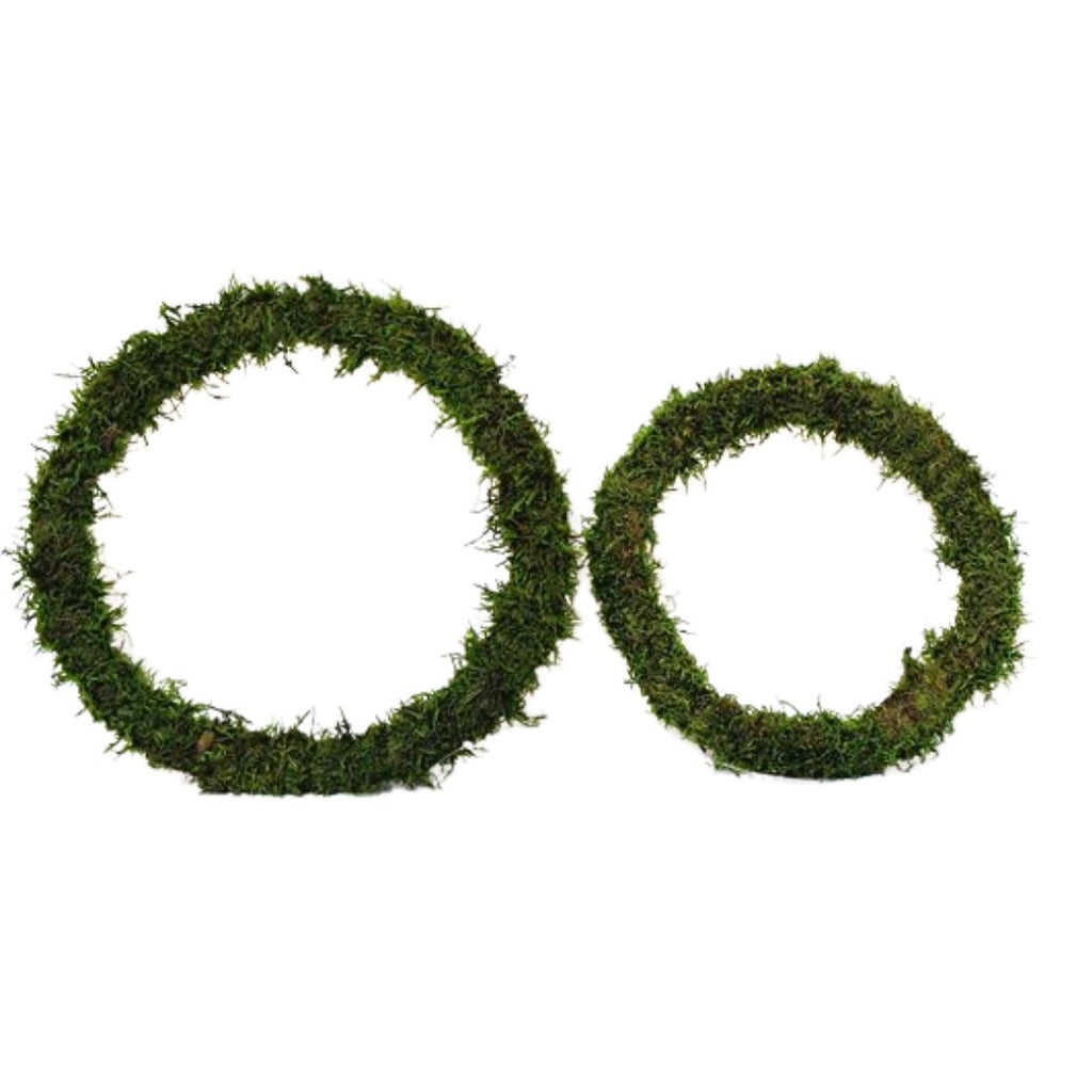 Preserved Moss Ring - Wick'ed Fragrance House