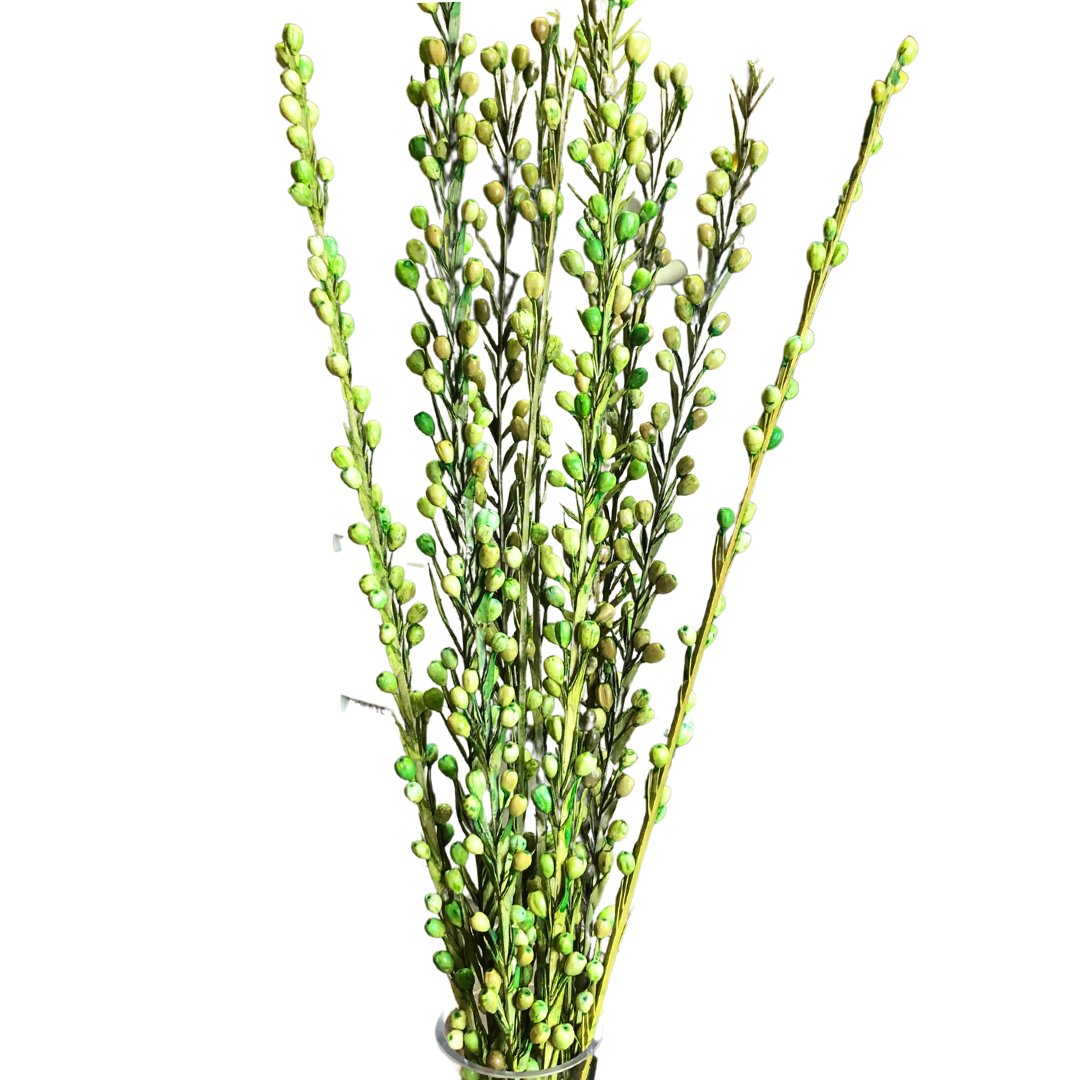 Preserved Moti Sticks - Wick'ed Fragrance House