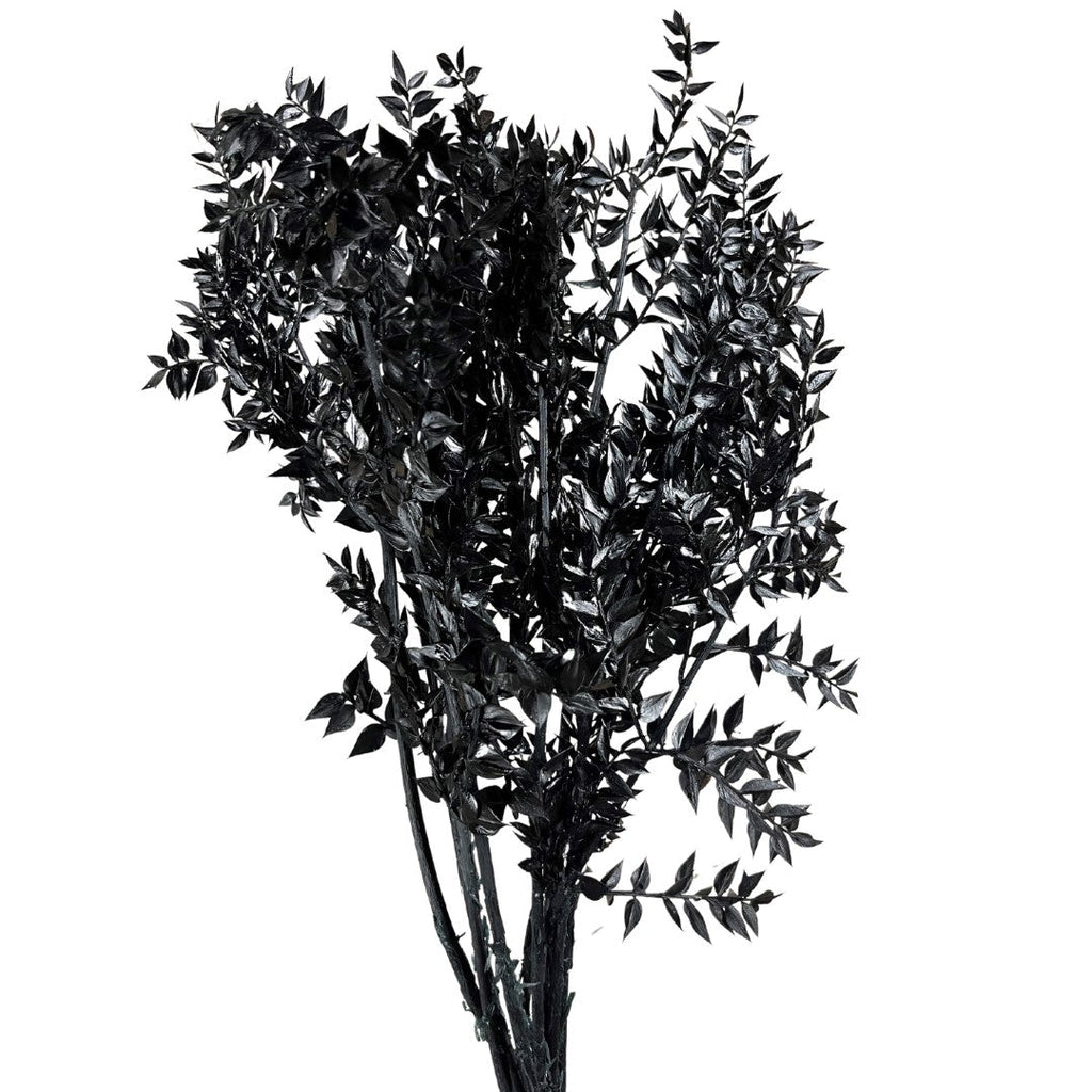 Preserved Ruscus Stems - Wick'ed Fragrance House