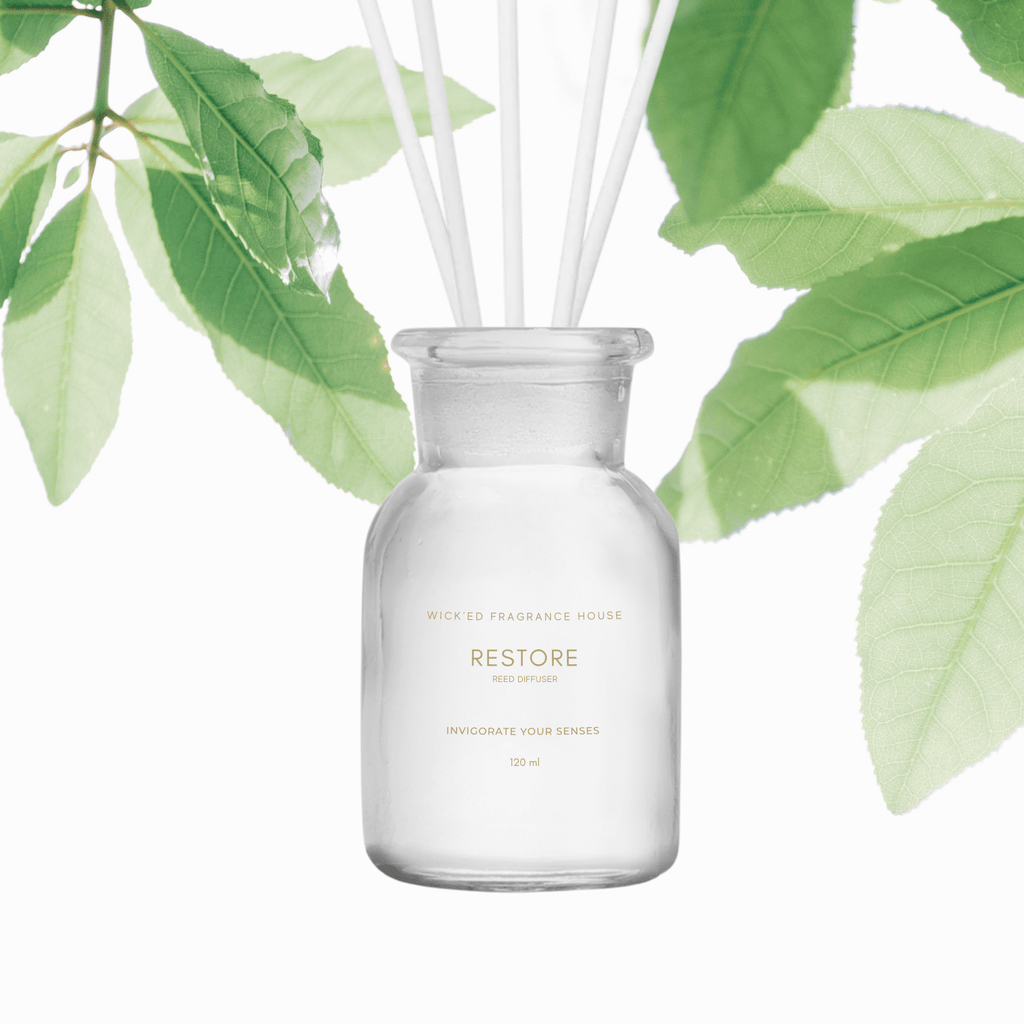 SPA & Fresh Reed Diffusers - Wick'ed Fragrance House