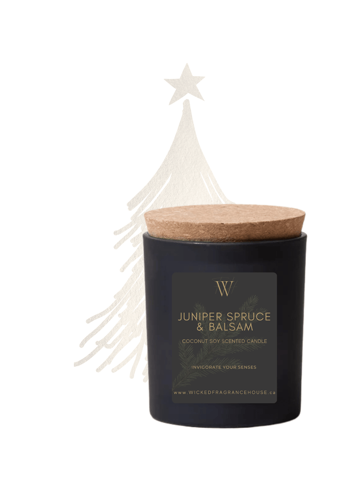 Winter Collection Coconut Soy Candles - Wick'ed Fragrance House