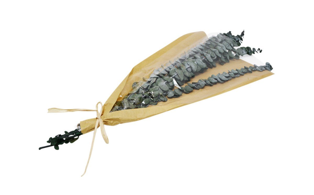 DRIED EUCALYPTUS - Wick'ed Fragrance House