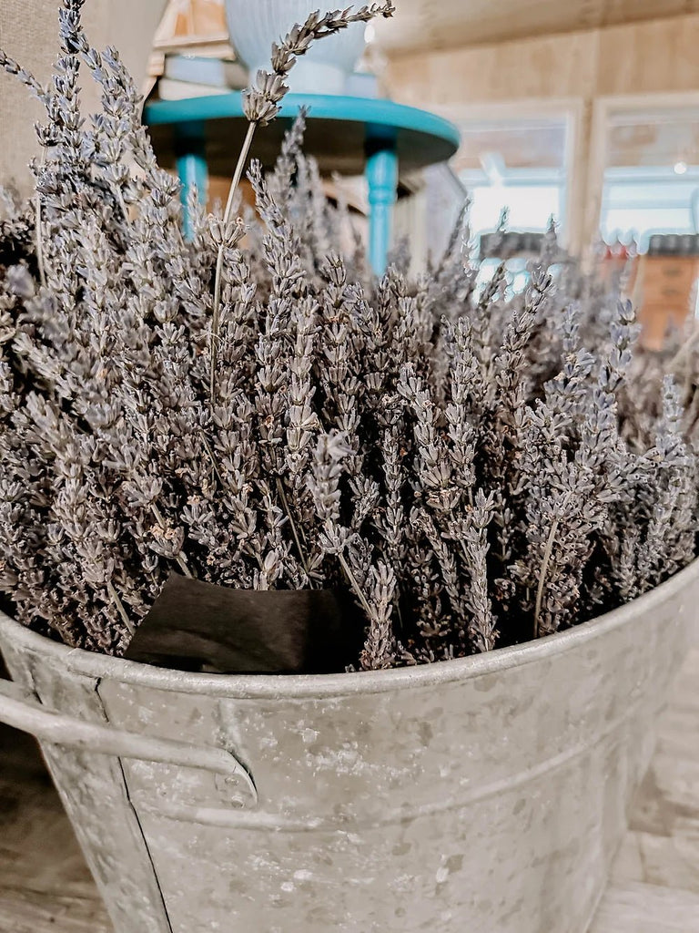 DRIED LAVENDER BUNCHES - Wick'ed Fragrance House