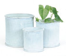 GALVANIZED PLANTERS - Wick'ed Fragrance House