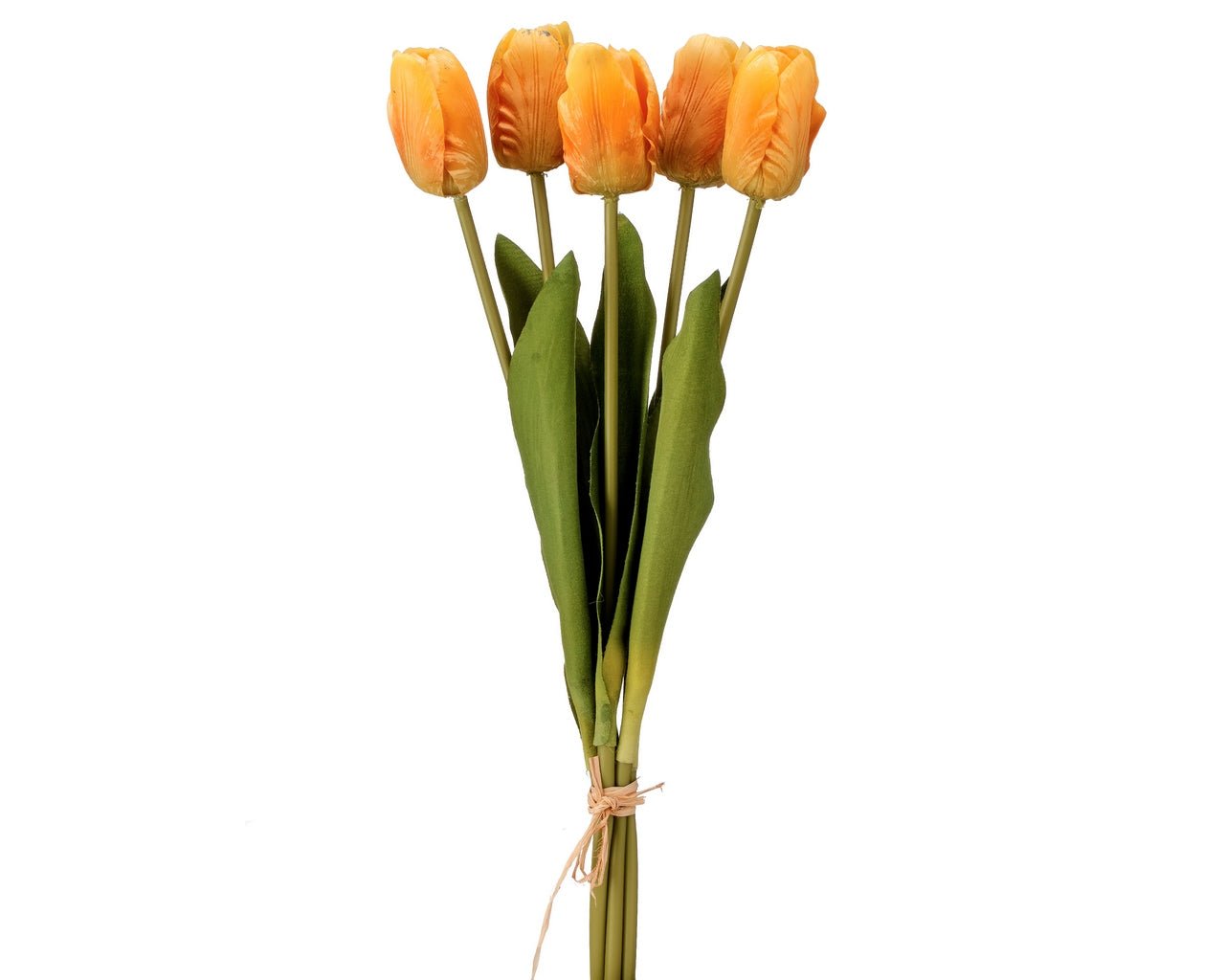 Holland Tulip - Wick'ed Fragrance House