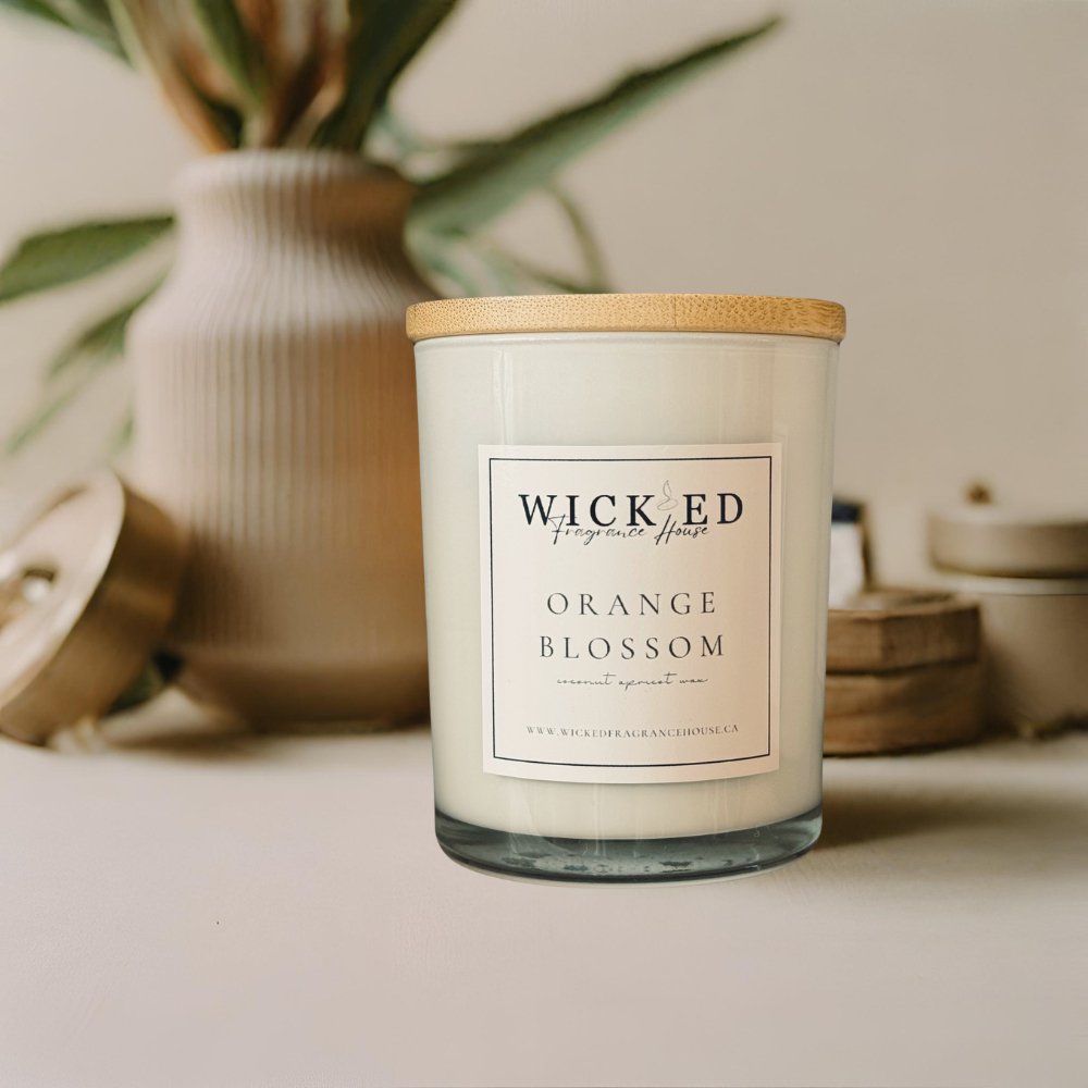 Orange Blossom Coconut Soy Candle - Wick'ed Fragrance House