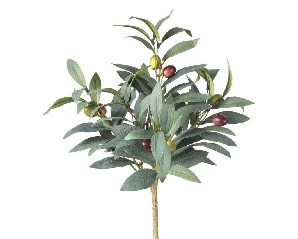 POTTED OLIVE TREE WITH OLIVES - Wick'ed Fragrance House