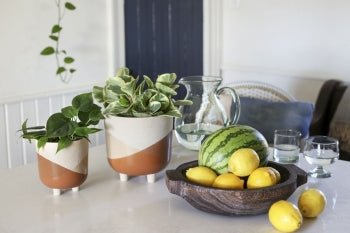 Round Wood Bowl - Wick'ed Fragrance House