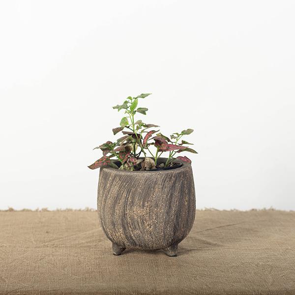 Textured Cement Flower Pot, Small - Wick'ed Fragrance House